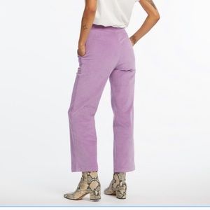 Wild Pony Purple Cord Pant